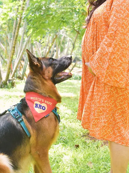 This handsome German Shepherd is officially the 'World's Best Bro'. He's looking up at his mom's baby bump with so much curiosity and love. Outdoor shoots give us beautiful natural light and space for these wonderful moments.