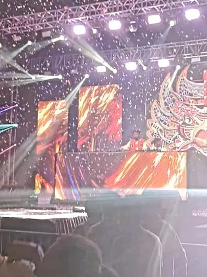 Another shot of the epic stage setup and confetti blast at the Holi festival. Pure visual madness.