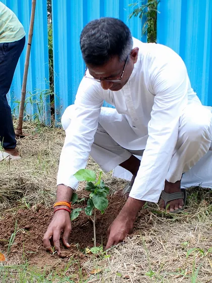 A volunteer in traditional white attire plants a sapling. Many residents and visitors find immense joy and fulfillment in participating in our environmental initiatives.