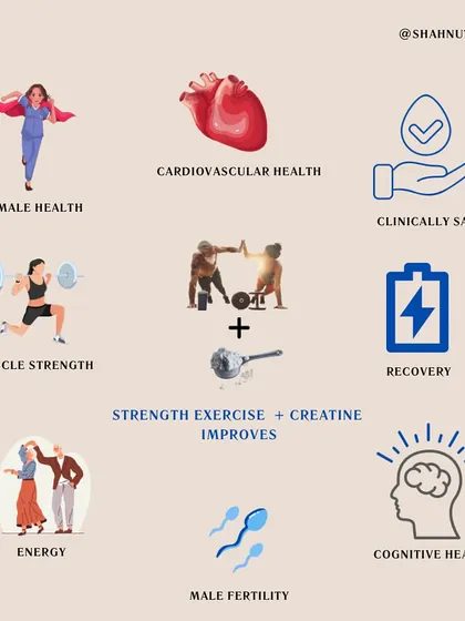 This infographic summarizes the wide-ranging benefits of combining strength exercise with creatine. It improves everything from muscle strength and recovery to cardiovascular health, cognitive function, and even fertility.