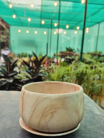 This elegant ceramic pot features a subtle, natural marble finish. Paired with a matching saucer, it's a stylish and contemporary home for your favorite plant.