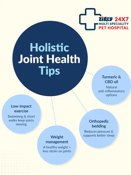Holistic approaches can significantly improve your dog's joint health. This infographic covers low-impact exercise, weight management, and the benefits of orthopedic bedding.