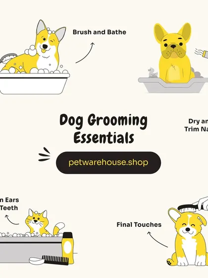 This graphic illustrates the essential steps of a complete grooming session, from brush and bathe to nail trims and final touches. Regular grooming is key to your pet's hygiene and well-being.