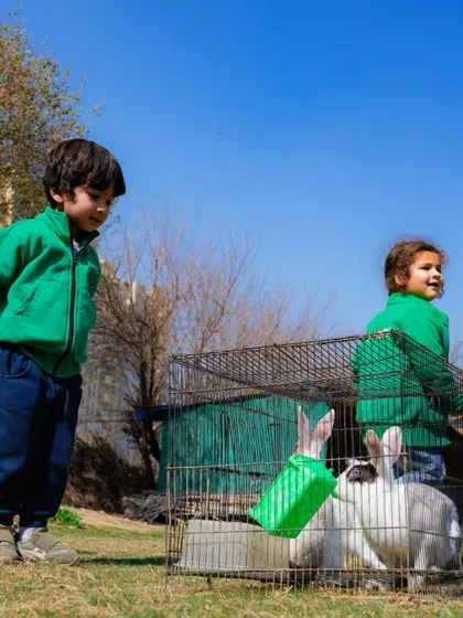 Two young boys looking at the rabbits with curiosity and excitement during their farm visit.