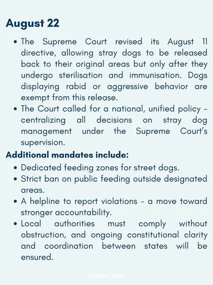 This infographic breaks down the Supreme Court's revised directive, which allows sterilized and immunized dogs to be released back to their territories and mandates dedicated feeding zones.