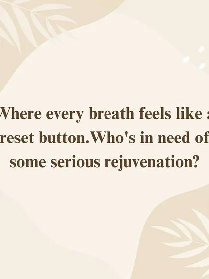 Our studio is a place where every breath feels like a reset button. It is a space for serious rejuvenation.