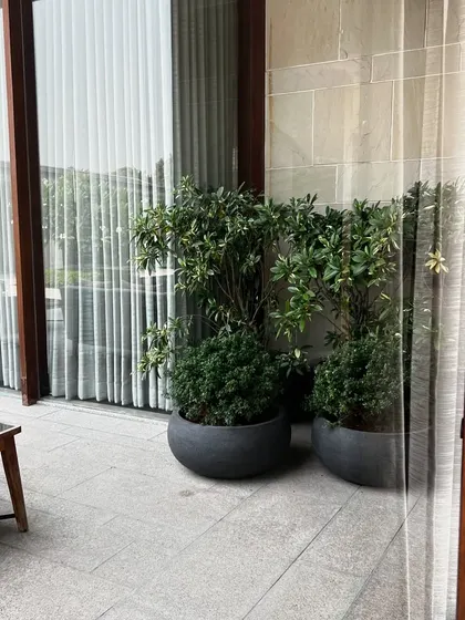 Potted plants reflected in the glass of the sliding doors, visually merging the indoor and outdoor spaces.