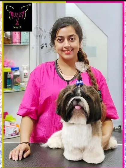 Enzo is feeling great after a fun day at the spa. His Shih Tzu cut is neat, tidy, and perfectly suited for an active and playful dog.