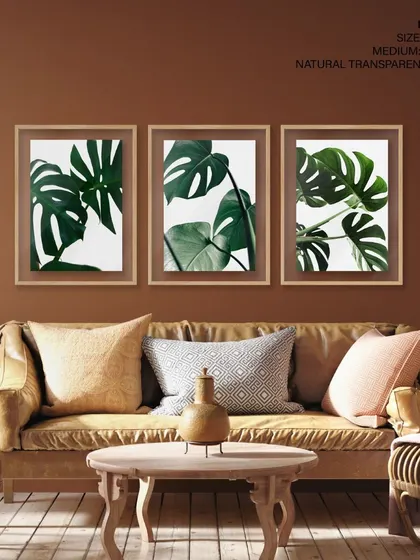 Bring a lush, tropical vibe to your space with this set of three Monstera leaf photographs. The natural transparent frames offer a clean, modern presentation that lets the vibrant green foliage shine.