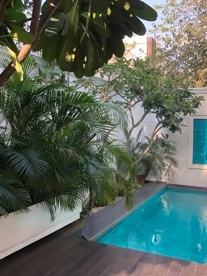 A small villa garden in Gurugram, complete with a swimming pool. The design uses dense tropical foliage, including palms in large white planters, to create a private, resort like feel around the water.