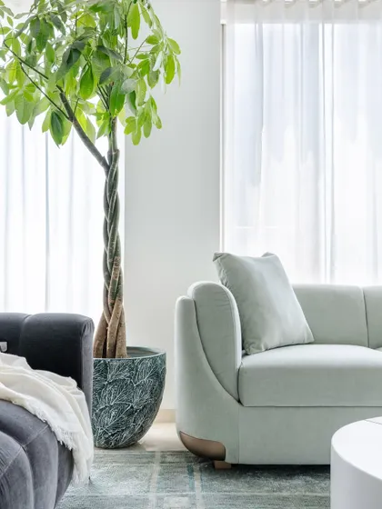 A detail of the living room's seating arrangement, highlighting the curved lines of the pastel green sofa and the large indoor plant that brings a touch of nature indoors.