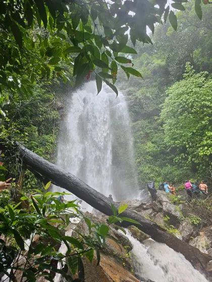 A stunning view of Hidlumane Falls, framed by the lush green foliage of the forest.