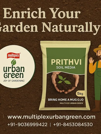 Enrich your garden naturally with our 5kg pack of Prithvi Soil Media. This organic soil enhancer is the perfect choice for home gardens, pots, and terrace farming, making it easy to bring home a mug of joy.