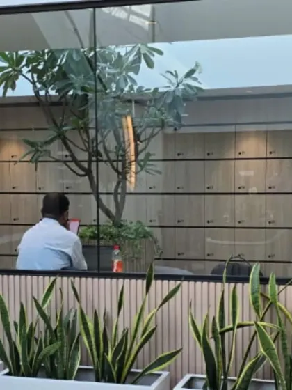Here you can see how I layer greenery to create depth. Hardy Snake Plants in the foreground complement the larger Plumeria tree in the background, creating a cohesive and calming biophilic design within the office.