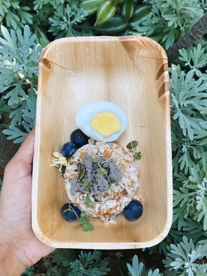 A beautifully balanced meal with chicken, veggies, a boiled egg, and blueberries. This is what a complete and natural dog diet looks like.