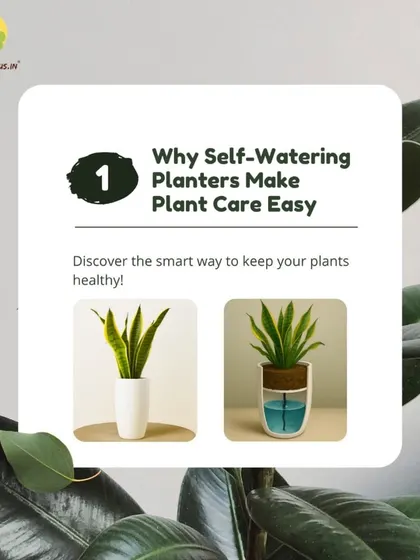 This series explains exactly why our self-watering planters make plant care so easy. It all starts with the smart design that separates the water reservoir from the soil.