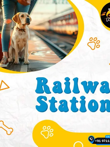 I provide pick-up and drop-off services to railway stations for your convenience.
