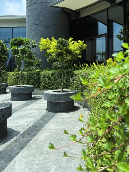 Topiary trees in custom planters add a touch of formality to this corporate landscape, contrasting with the looser, more naturalistic planting in the background.