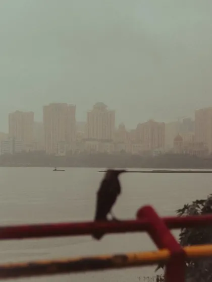 A crow looks out over a misty Powai Lake, with the Hiranandani skyline barely visible in the distance.