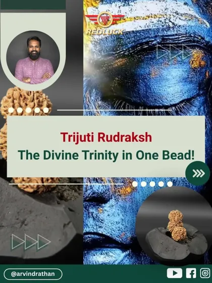 This is the Trijuti Rudraksha, a rare and powerful bead where three Rudrakshas are naturally joined. It represents the divine trinity of Brahma, Vishnu, and Shiva. I recommend such specific remedies only after a deep analysis of your energy map to enhance leadership, intuition, and focus.