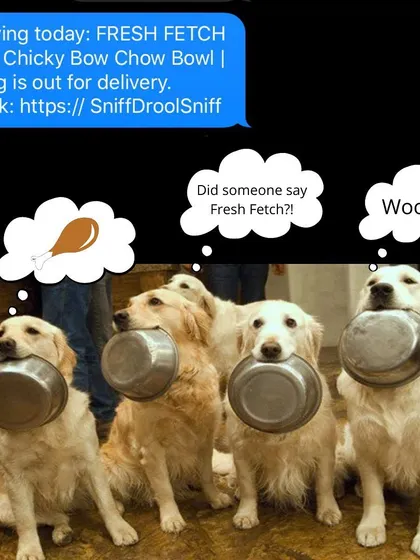This is the scene in many homes when the "Fresh Fetch is out for delivery" text arrives. Bowls at the ready.