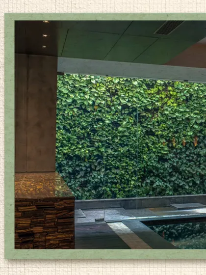 A lush green wall seen through a large window at the Kumar Residence. We often use vertical gardens and large glazed openings to blur the boundary between inside and outside, bringing the vitality of nature into the home.