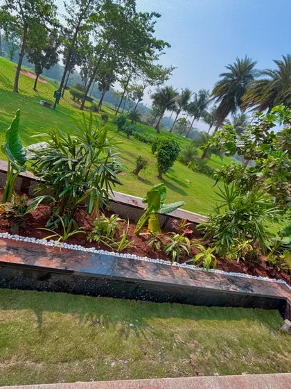 A mix of tropical plants like Alocasia and other foliage creates a lush, jungle-like feel in the planters overlooking the golf course.