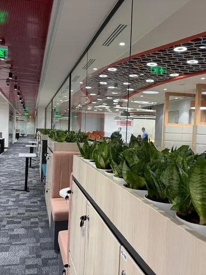 A long view of the Prudential workspace, showing how the continuous line of greenery creates a visual path and breaks the monotony of a large open-plan office, contributing to a calmer, more organized environment.