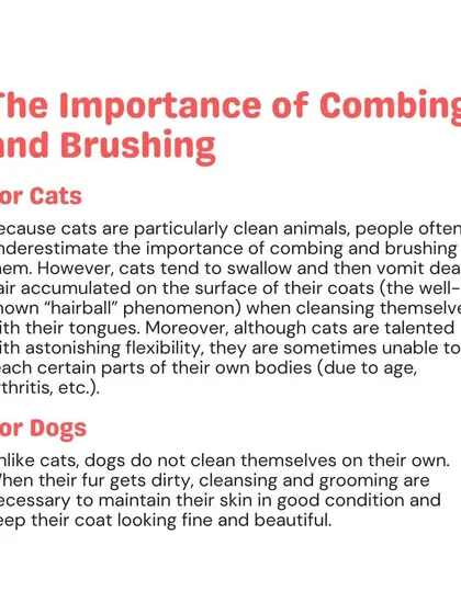 This graphic explains the importance of combing and brushing for both cats and dogs, highlighting their different grooming needs.