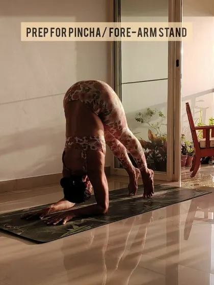 This is a preparatory drill for Pincha Mayurasana, or Forearm Stand. By practicing this dolphin-like push-up, you build the shoulder and core strength necessary to lift your legs up.