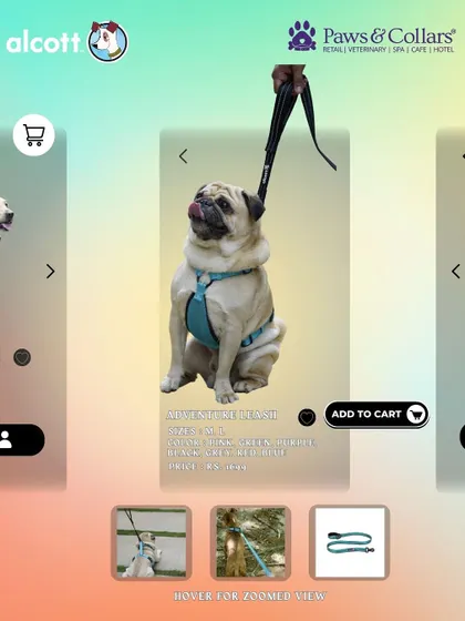 A pug models the Alcott Adventure Harness, demonstrating a secure and comfortable fit. This product is designed to distribute pressure evenly, making walks more enjoyable for flat-faced breeds and strong pullers alike.