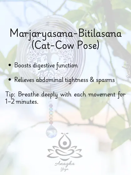 Marjaryasana-Bitilasana (Cat-Cow Pose) boosts digestive function and relieves abdominal tightness and spasms through gentle, rhythmic movement.