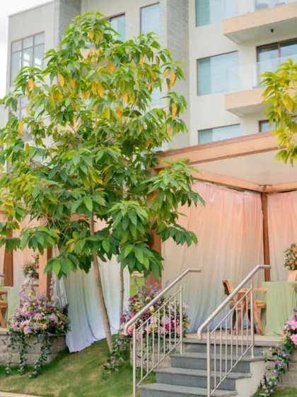 The elevated cabanas provide private and comfortable seating areas for guests.