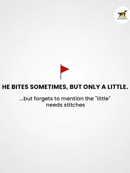 Honesty about biting is crucial for everyone's safety. Knowing this beforehand allows me to take the right precautions and use techniques to keep your pet calm.