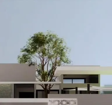 An architectural render focusing on the relationship between the building and a mature tree. We often design around existing natural features to create a sense of establishment and harmony with the site.