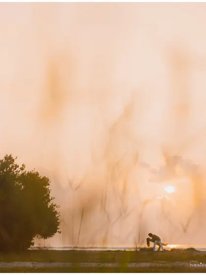 An artistic and abstract shot of a couple at sunset, captured through waving grass to create a dreamy, painterly effect. This highlights our creative approach to pre-wedding photography.