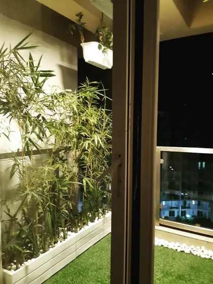A view into a cozy balcony at night. The space is filled with bamboo plants in white planters, creating a natural privacy screen.