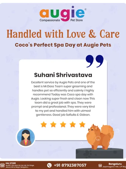 Coco's perfect spa day! Thank you, Suhani, for this excellent review. We're so proud of our team for being prompt, professional, and handling Coco with the utmost gentleness.