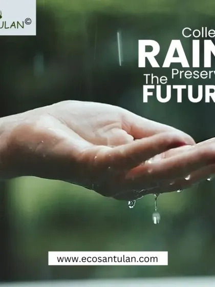 Your hands can be the start of a movement. Collecting rain is a direct and personal way to preserve our future, ensuring that we have the water we need for years to come.