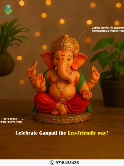 Celebrate Ganpati the eco-friendly way this year. Bring Bappa home with my beautiful Kokedamas and indoor plants for a fresh, green, and truly blessed festive vibe.