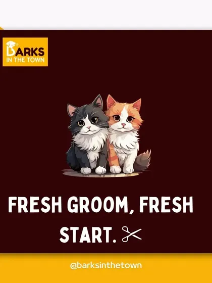 A fresh groom means a fresh start. We believe a clean and comfortable pet is a happy pet.