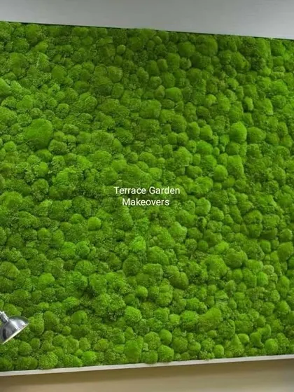 Sometimes, simplicity is the most powerful statement. This large, framed panel is filled entirely with lush, green preserved bun moss, creating a stunning textural feature wall that is both modern and natural.