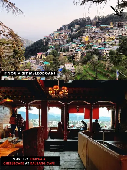 In McLeodganj, the Thukpa and cheesecake at Kalsang Cafe are legendary. We make sure our travelers experience the best of Tibetan cuisine.