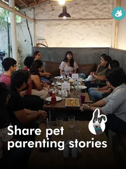 Our meet-ups are a space to share pet parenting stories, both the funny and the challenging, in a supportive and understanding environment.