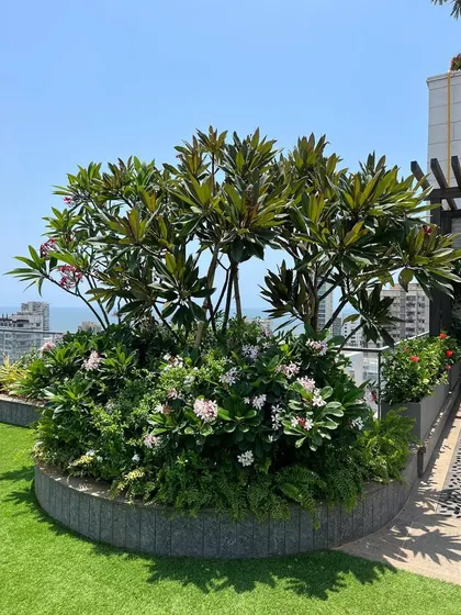 A circular planter filled with a variety of flowering plants and a central tree adds a soft, organic shape to this rooftop garden. The design provides color and life against the backdrop of the city and sea.