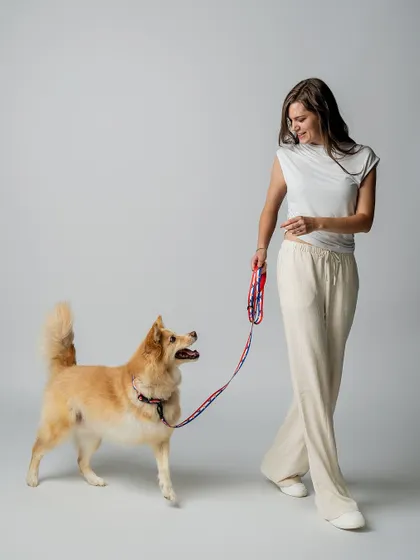 A dynamic shot of a model walking with a happy dog, showcasing the brand's leash and harness set in motion.