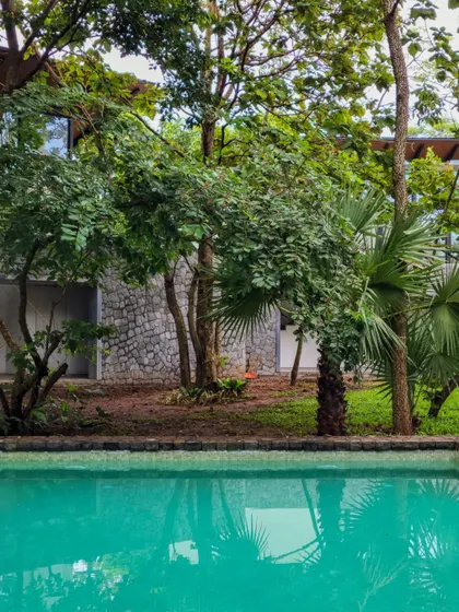 Water, sun, and plant life. A tranquil moment at the Villa in a Grove, where the home is designed to be a seamless part of its natural surroundings.