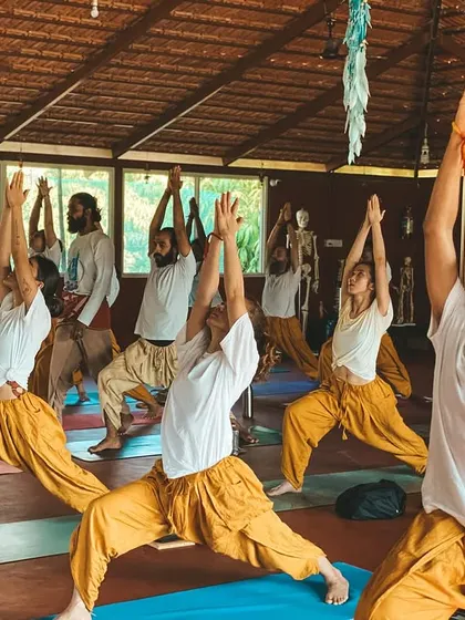 A class moves in unison, breathing and flowing together in a dynamic Vinyasa sequence. The collective energy of the group supports each individual, creating a powerful and meditative experience. You will learn to lead classes with this same sense of unity and flow.