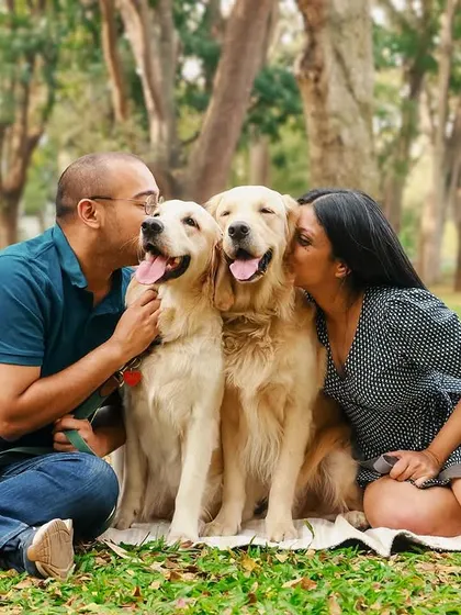 Kisses for the goodest boys! Adding a new member to the family is always a reason to celebrate with a new photoshoot. This photo is overflowing with love for these two beautiful retrievers.