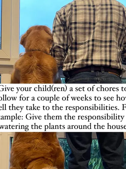 To test their commitment, give your child a set of chores for a few weeks, like watering plants. This can be a good indicator of how they will handle the responsibilities of pet ownership.